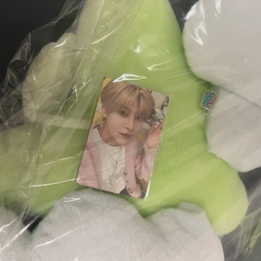 

Ncitywish Wich Cushion Sion Unopened Photocard