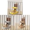 No Spill Automatic Pet Feeder Large Capacity Dog Food Dispenser  For Cats Rabbit Puppy