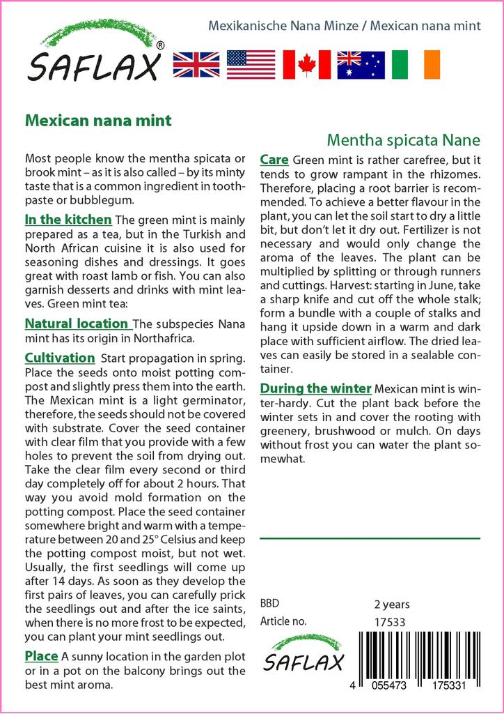 SAFLAX Garden In the Bag - Mexican Nana Mint - 500 Seeds - With Substrate In a Fitting Stand Up Bag - Mentha Spicata