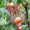 Telescopic Stainless Steel Fruit Picker for Loquat, Peach, Apple, Plum, Persimmon