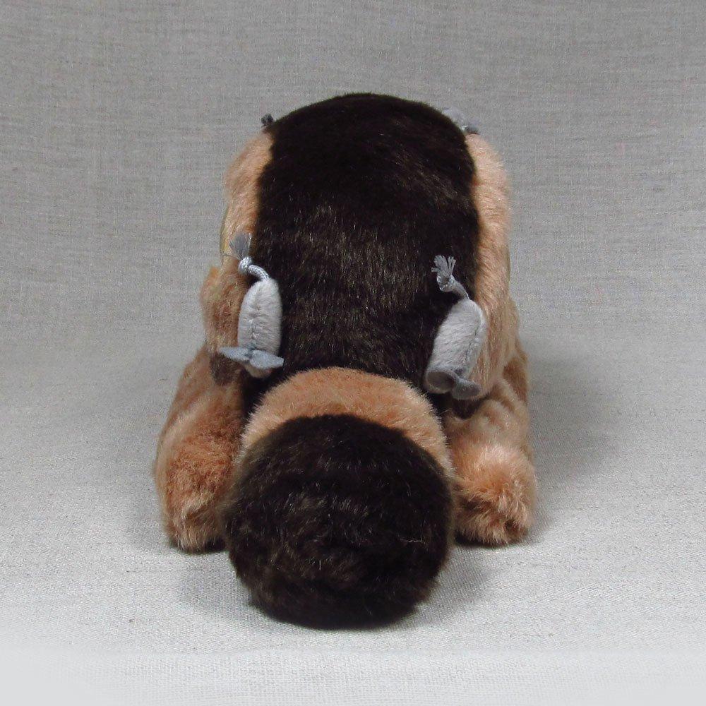 Catbus Plush Medium Size Toy,