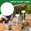 Plant Labels Greenery Plant Tags Set Of 10 Waterproof Vegetable Gardening Markers Houseplant Stake Signs For Flowers