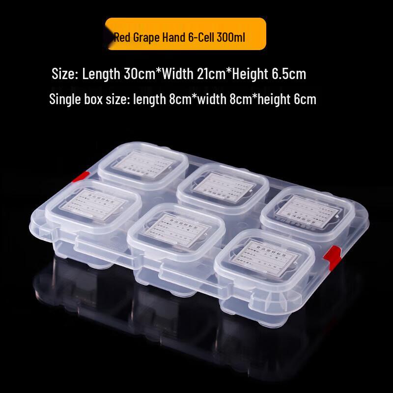 Plastic Compartmented Food Sample Storage Box