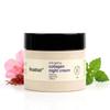 Inatur Collagen Night Cream for Anti-Aging, Hydration & Firmness with Saffron, Shea Butter & Almond Oil | Natural Skincare for Fine Lines & Wrinkle
