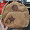 Big Capacity Capybara Crossbody Bag Plush Capybara Capybara Plush Bag  Female Lady Girl