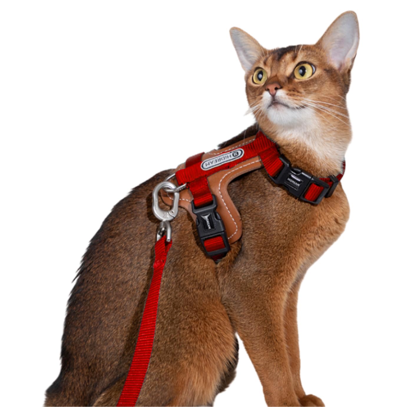 

Счастливые друзья Нескользящая кошачья шлейка с поводком для регулируемого комплекта поводка от сложного до легкого надевания для выгула кошек, размер, накидная, (красный)