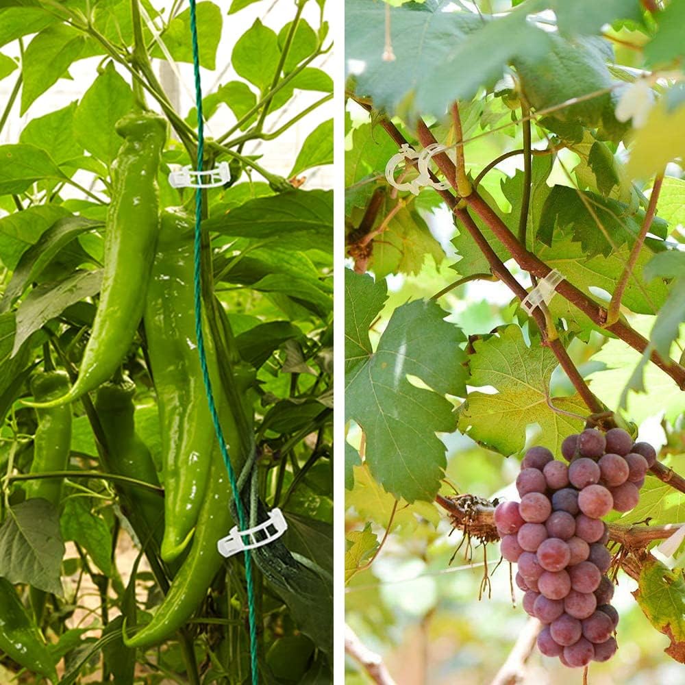 Agrafe reutilizabile pentru suporturi pentru plante Conexiuni din plastic Fixare viță de vie struguri roșii clemă tulpină altoire plante legume instrumente de grădină livadă