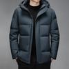 Short Down Jacket Men's Winter New Men's Hooded Jacket Versatile Solid Color Lapel Loose Warm Casual Men's Clothing