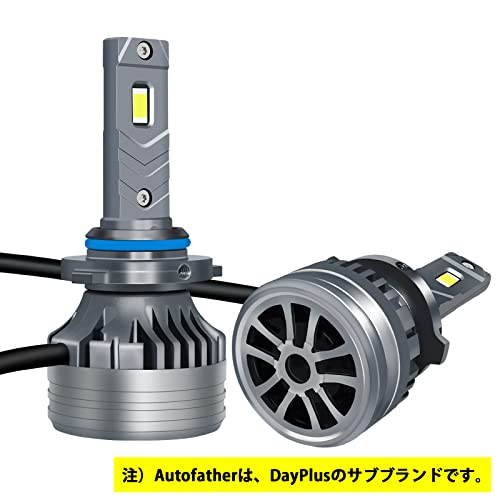 DayPlus Auto LED Scheinwerfer HB4 9006 LED Fernlicht/Abblendlicht Autolampe Kompatibel mit Nebelscheinwerfern 4000LM Integriert Neue Fahrzeuguntersuchung Konform