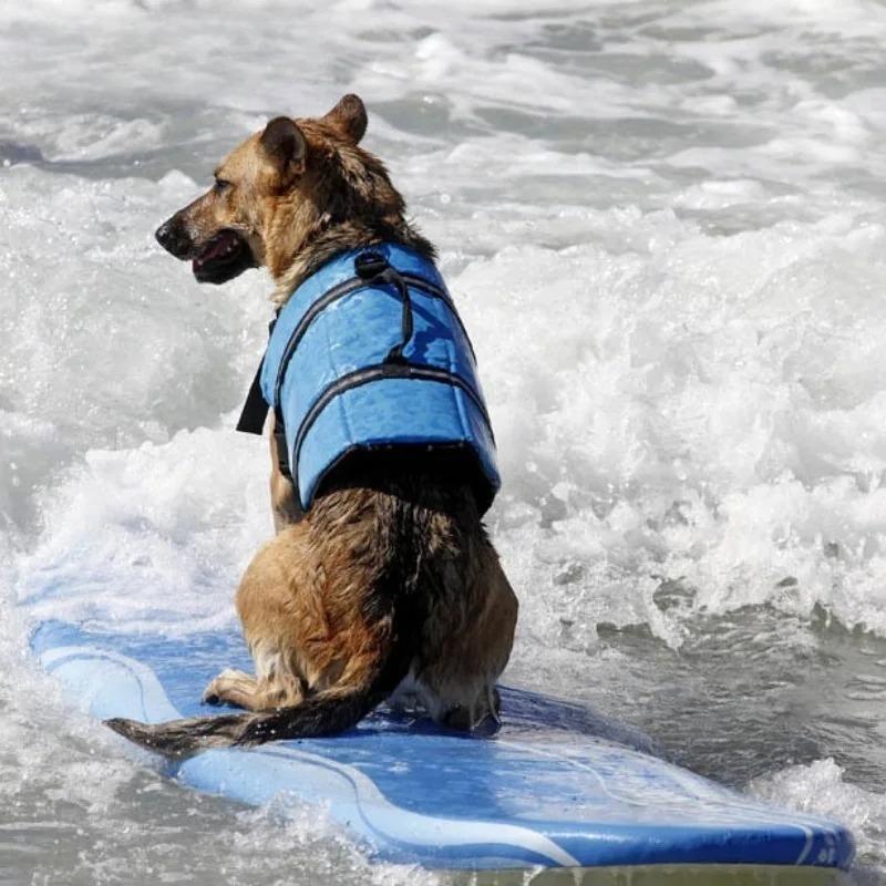 Adjustable Large Dog Life Jacket Reflective Safety Vest for Swimming Surfing And Sailboating Enhanced Buoyancy Pet Swimwear Summ