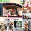 PU Leather Dog Harness Leash Set Durable Puppy Dog Harnesses Soft Pet Vest With Walking Lead For Small Medium Dogs Chihuahua Pug