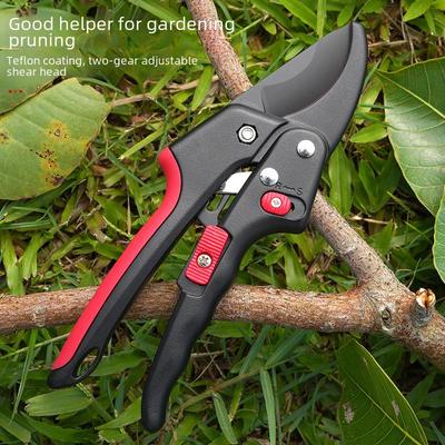 Robuste Gartenschere für dicke Äste und Floristik