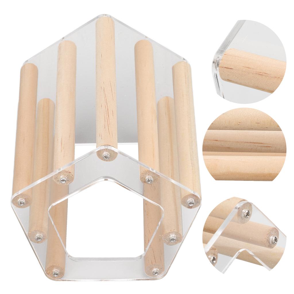 Minimalist Pentagonal Hamster Wooden House Ventilated Transparent Hamster Cabin for Hamster Golden Br