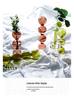 Weixun Korean Bubble Glass Vase - Spherical Hydroponic Flower Decoration Prop