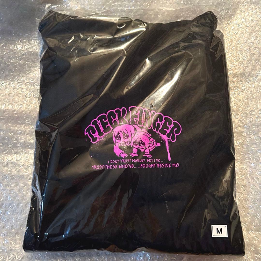 

[USED] Attack on Titan Peak Wall Art Hoodie, Size M