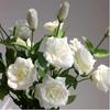 4 Pcs Rose Artificial Silk Lisianthus Fake Real Touch Flower with Long Stem Faux White Peonies Bouquet for Wedding Party Home Indoor Decor Flower