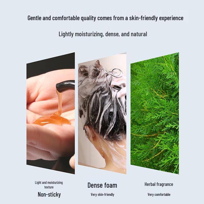 BaWang He Shou Wu Anti-Hair Loss Shampoo