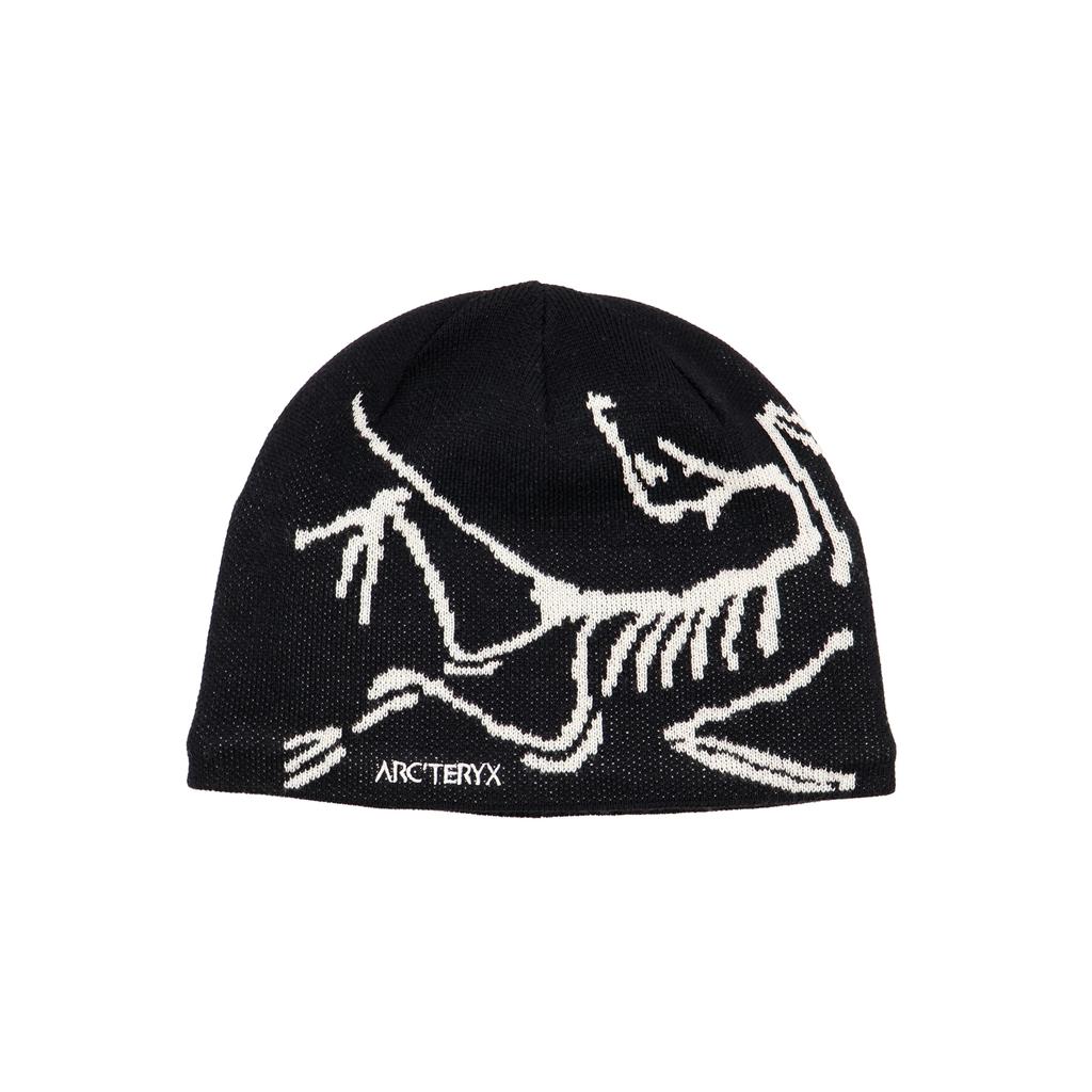 X000006756004 ARC'TERYX Bird Head Toque Orca