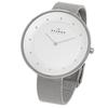 SKAGEN SKW2140 ANITA 30mm Steel Mesh Women's Watch, Silver [Parallel Import]