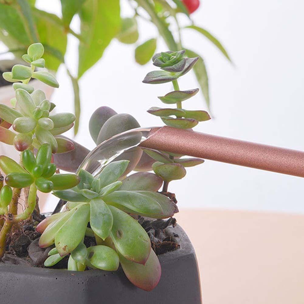 Stainless Steel Watering Can Rustproof Leakproof Spray Kettle Durable Long Spout Watering Can Home