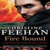 Fire Bound by Christine Feehan Paperback Book 9780349410326