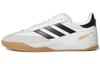 Copa Nationale 'Millennium' GW3134