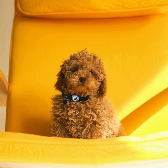 Pet Positioning Collar Crisp Bell Faux Leather Pet Tracking Device Protective Collar for Apple