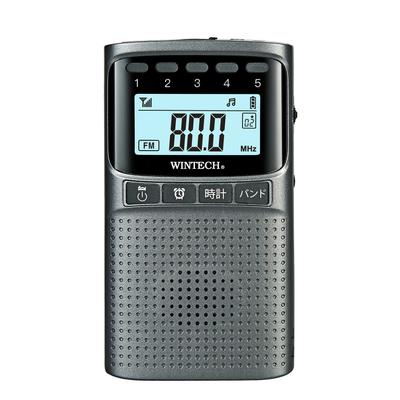 WINTECH Tragbares Digitalradio mit Katastrophenschutzfunktion Gunmetal AM/FM EMR-700