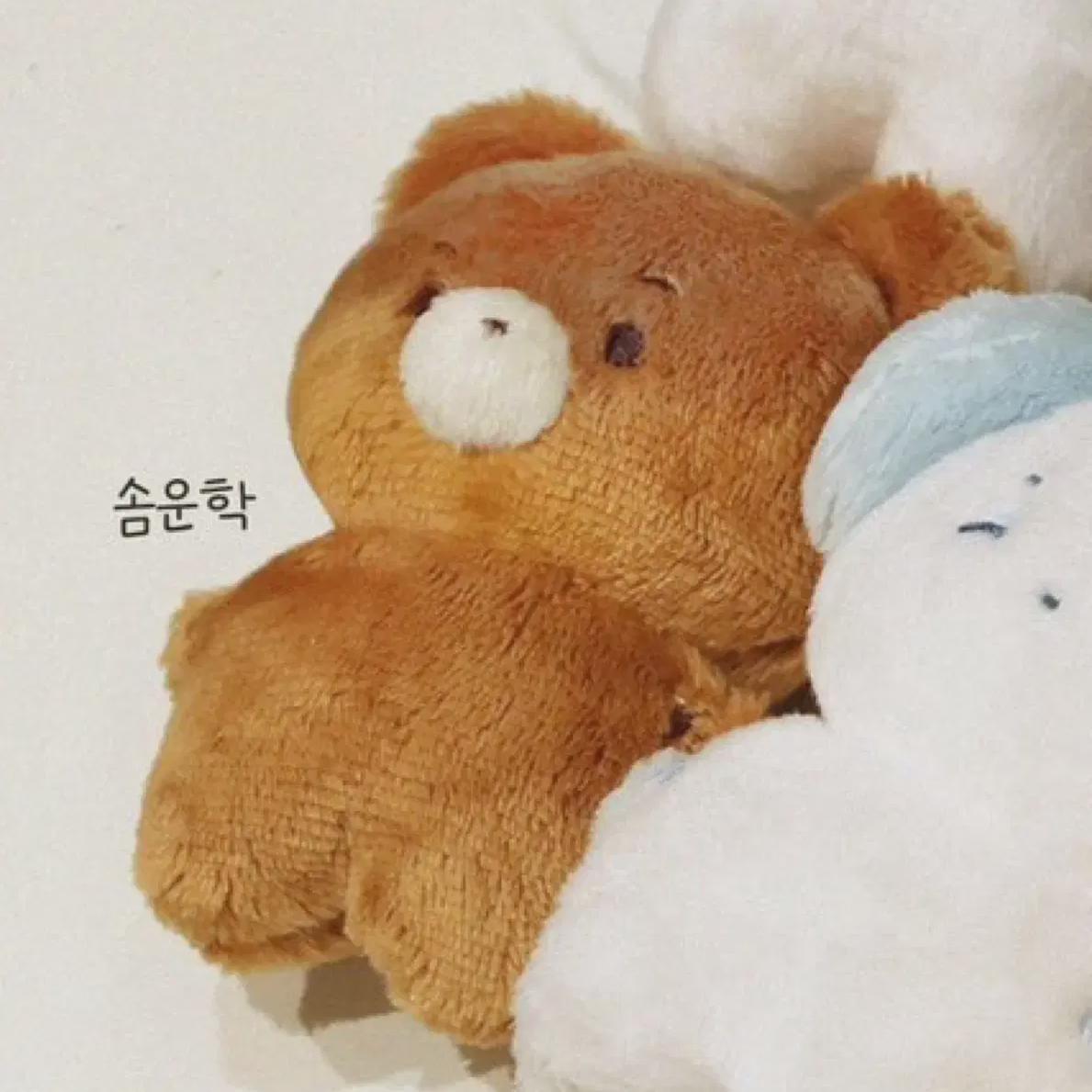 

Сомнэкдо Сомвунхак Унхак Кукла Парень по соседству Boynextdoor