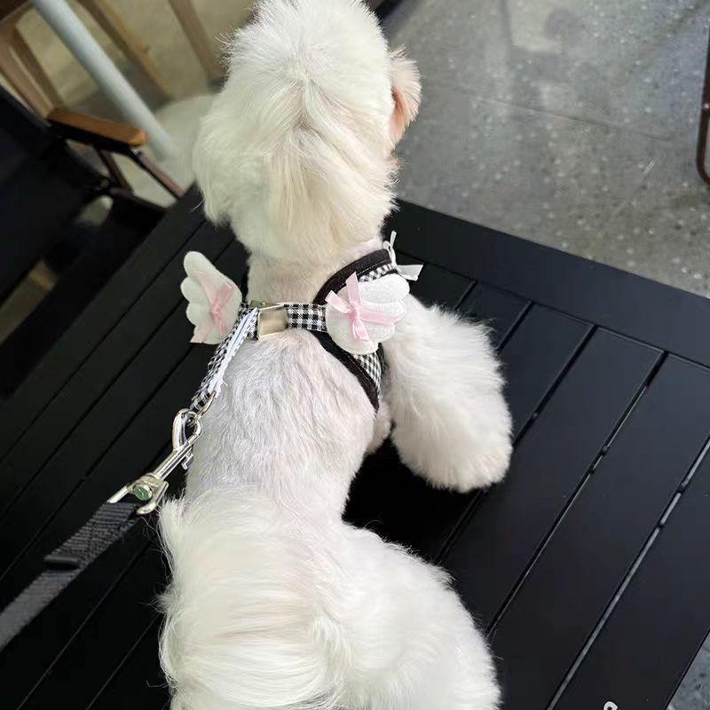 Verstellbares Hundegeschirr mit Leine Set Kleine Rassen wie Pudel Bichon Frise Komfort Passform Brustgurt Laufen