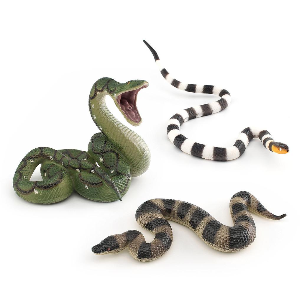 Realistic Snake Model Pvc Reptile Figure For Kids Educational Display And Decor