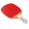 Victus TSP Table Tennis Racket Giant Plus Pen Holder 140 Plastic Balls 025520 (TSP) Stick-on (2 Included)