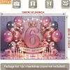 2D 6th Birthday Photography Backdrop, Pink and Silver Balloon with Light Ring Background