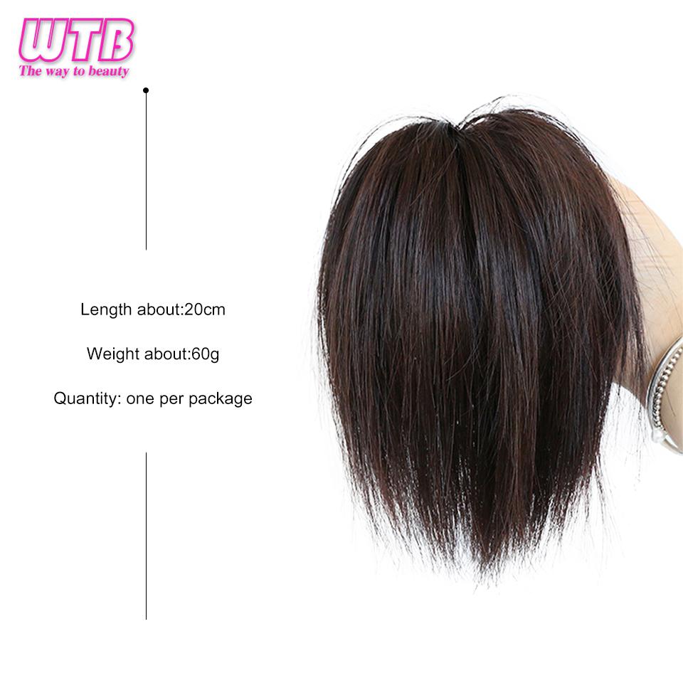 WTB Synthetic Ponytail Wig Women's Short Hair Bun Messy Lazy Wig Hairstyle Suitable For Daily Wear