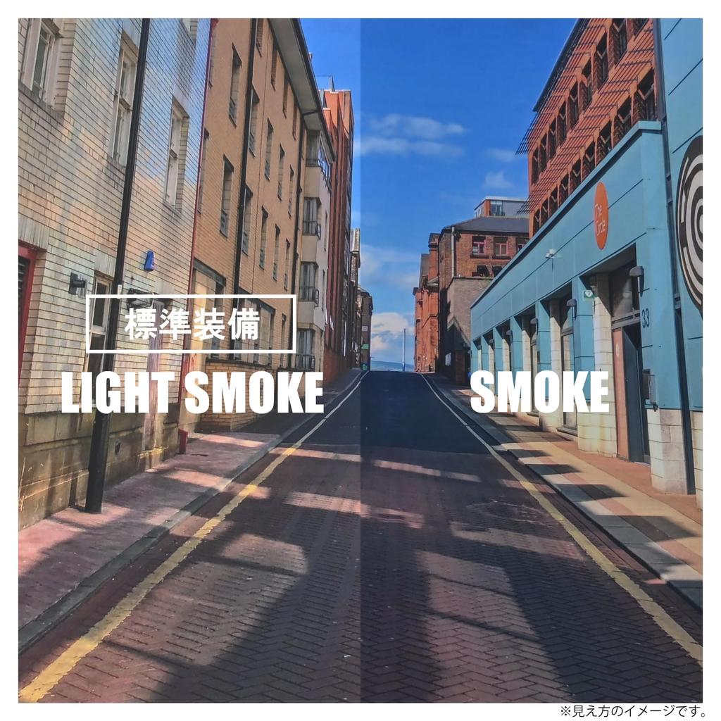 LEAD Motorcycle Helmet Shield for RAZZO 2 RAZZO 3 RAZZO STRADA RAZZO V Smoke UV Cut High Strength Shield RAZZO2S X-AIR / / /