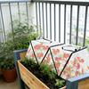 Foldable Plant Cover with Air Holes and Strong Frame for Garden Use Providing Frost Insulation and Pest Defense