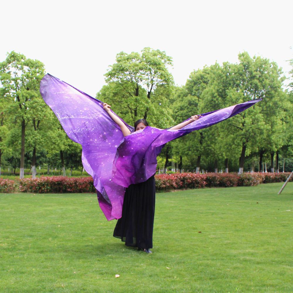 Egypt Belly  Dancing Costume Butterfly  Dance Accessories No Sticks