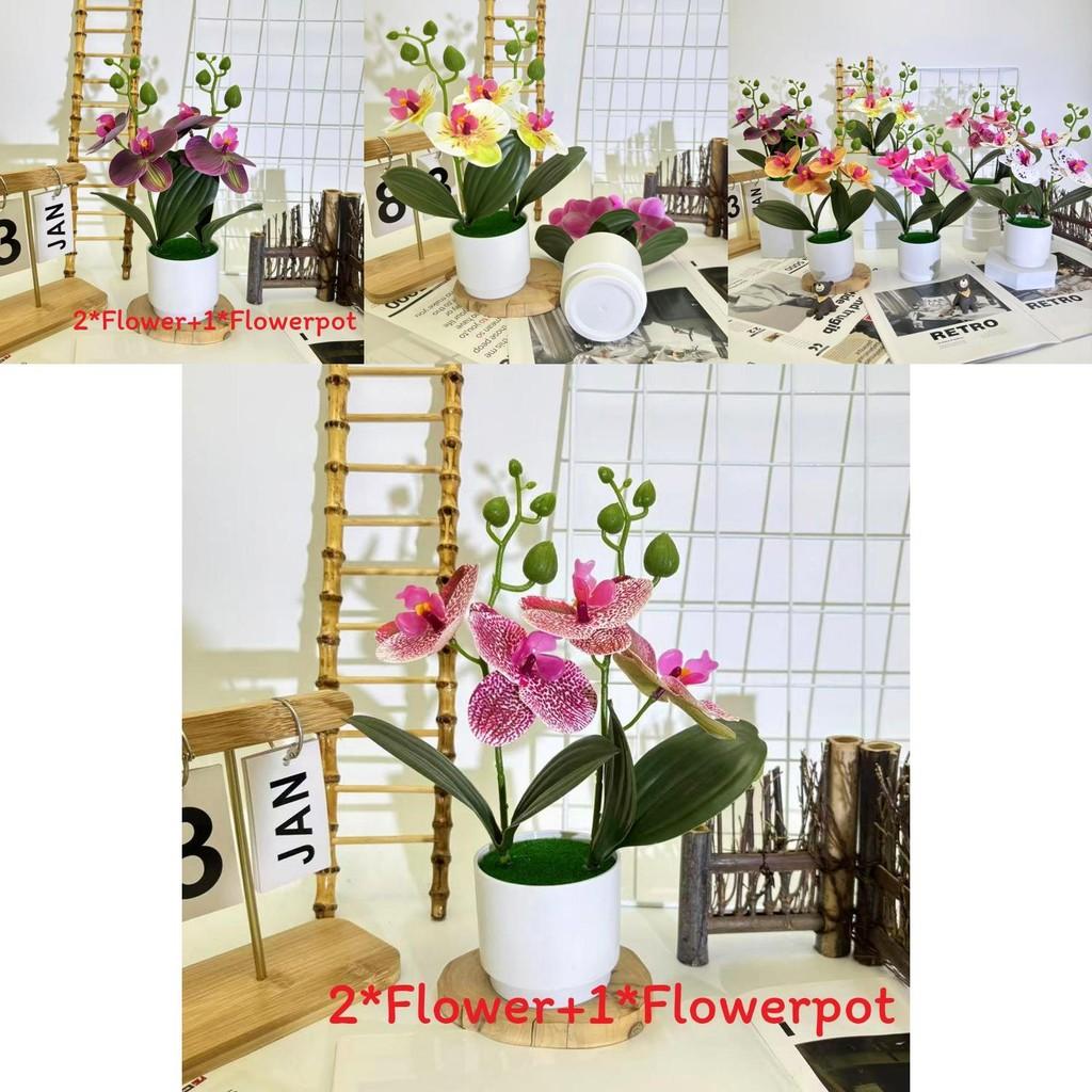 Butterfly Orchid 3d Faux Plant Decor With Plastic Material For Home And Event Use