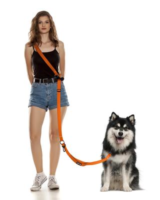 Dog Orange Waist Belt Car Seat Belt Reflective Tape Perfect for Walking and Jogging Medium and Large Dogs Hands-free Leash, Multi-functional