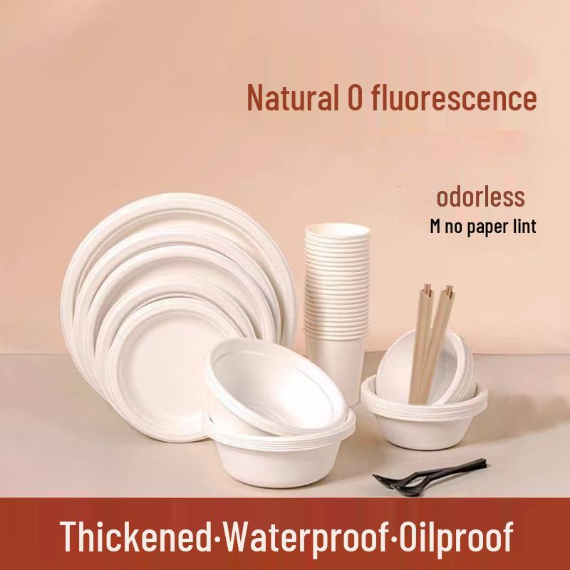 Disposable 10-inch White Paper Plates