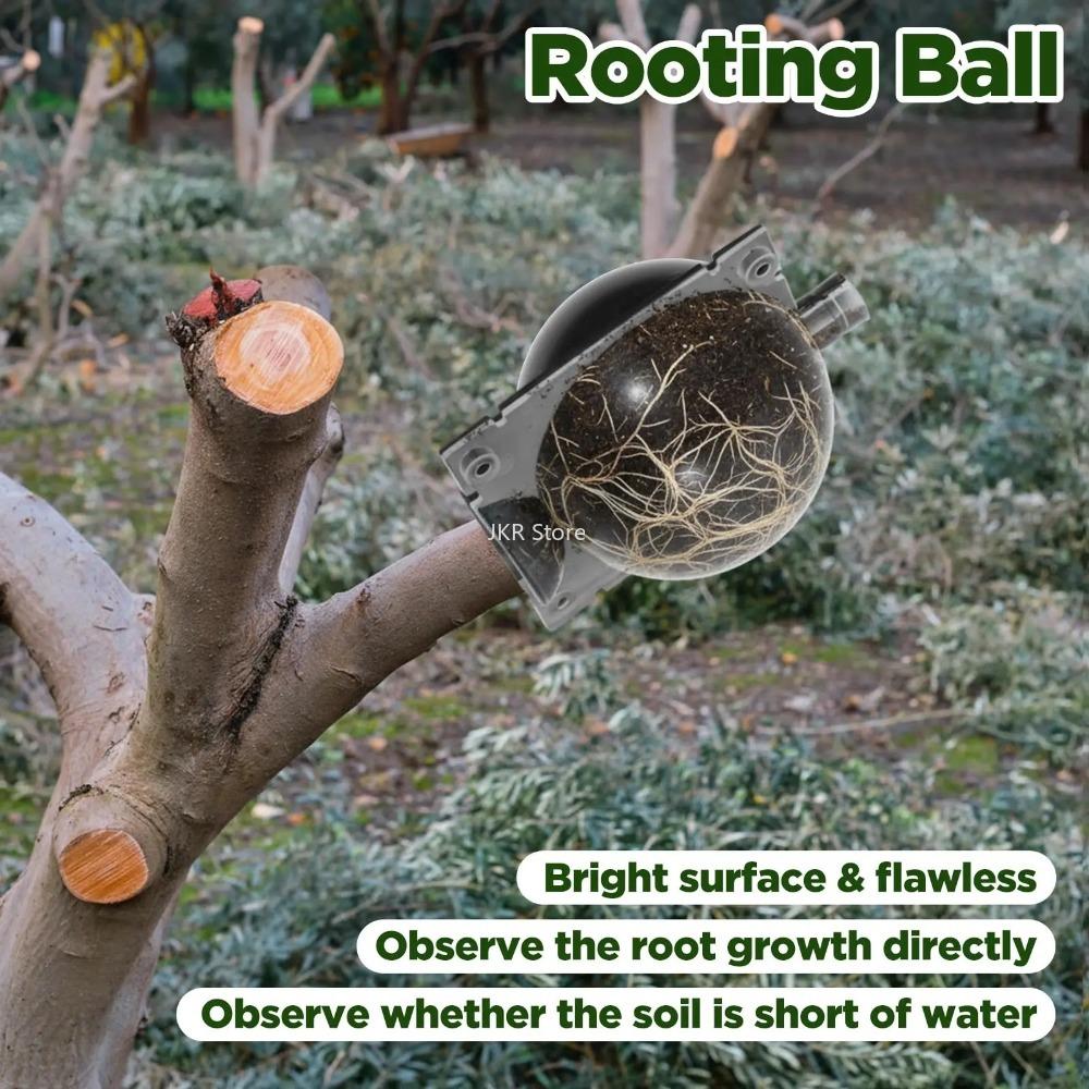 10/30PCS Grafting Rooting Ball Plant Breeding Box High Pressure Growing Case for Garden Plant Propagation Supply