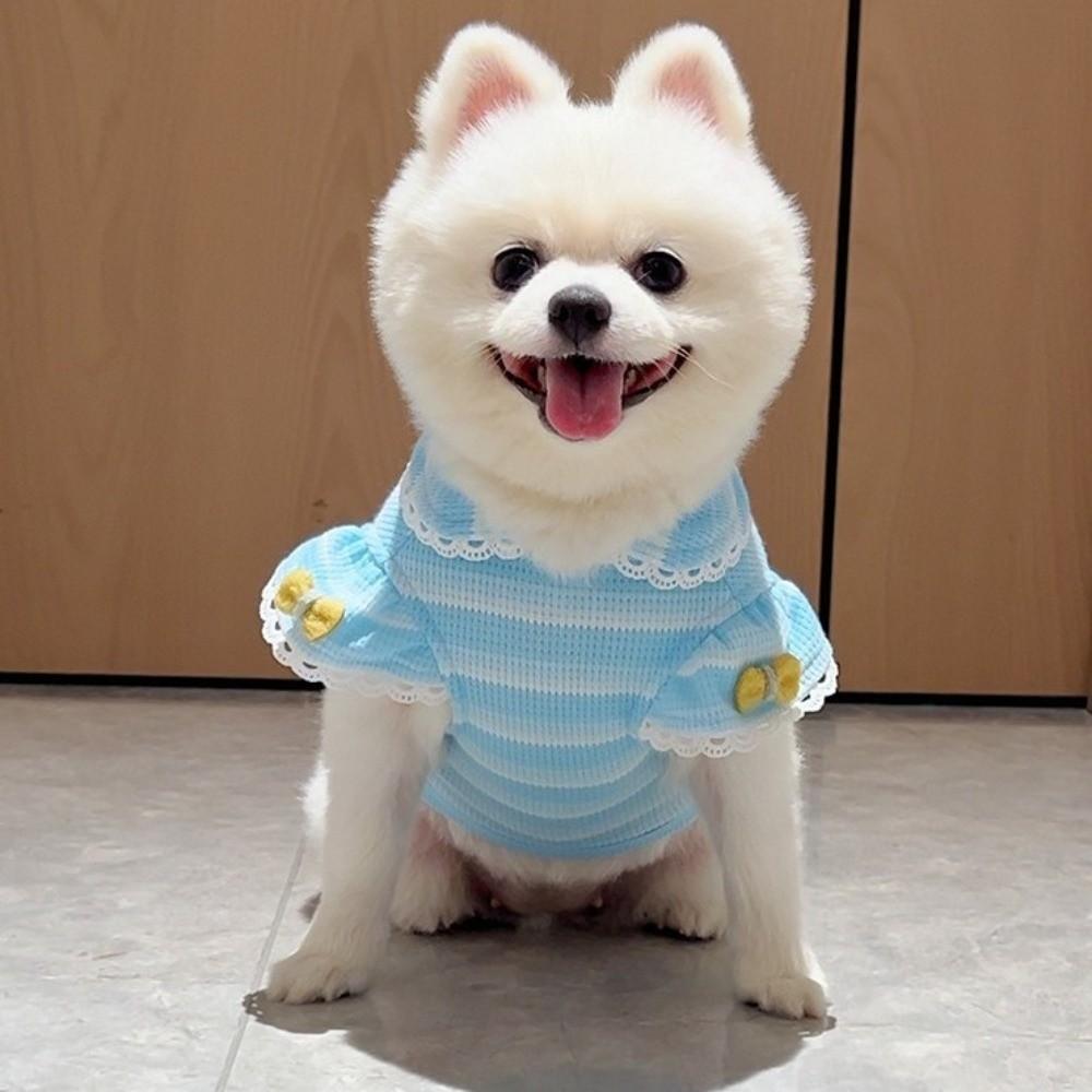 Stripe Design Dog Lace Knit Vest Ruffle Sleeves Dog T-Shirt Cute Pet Hoodie Daily Wear
