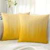 18 Inches X 18 Inches 2PCS Velvet Solid Colorful Throw Pillows Cover for Sofa Couch Bedroom Soft Square Pillow Covers