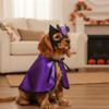 Decorative Dog Halloween Costume Cartoon Pet Wizard Cloak Halloween Party
