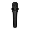 LEWITT MTP 550 DM Handheld Dynamic Microphone