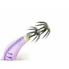 Used MARUSHIN DRAGON Supreme Egi No. 3.5 Keimura Purple Egging Egi Bait Tree Squid Fishing Big Squid Fishing Boat Egging Big Squid Squid Spring Squid
