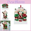 Charming Family Resin Christmas Ornaments For Joyful Holiday Tree Dcor