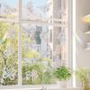 Colorful Window Sticker Rainbow Prism Butterfly Static Glass Sticker PVC Anti-collision Crash Glass Home Decor