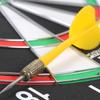 Aoshilong 15-inch Paper Dartboard Set