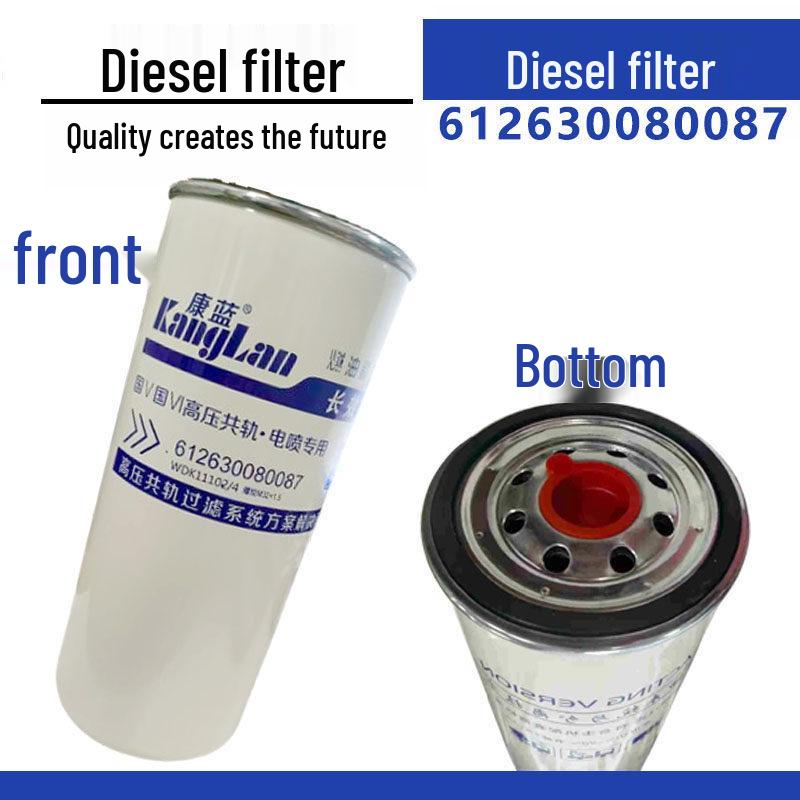 Diesel-Filterelement 612630080087 117050A8IDM für Diesel-Filter